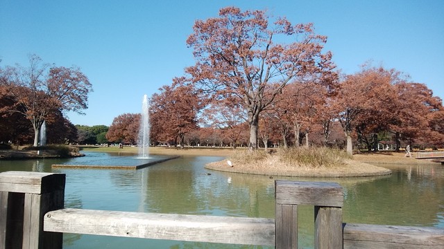 DSC_0123.jpg